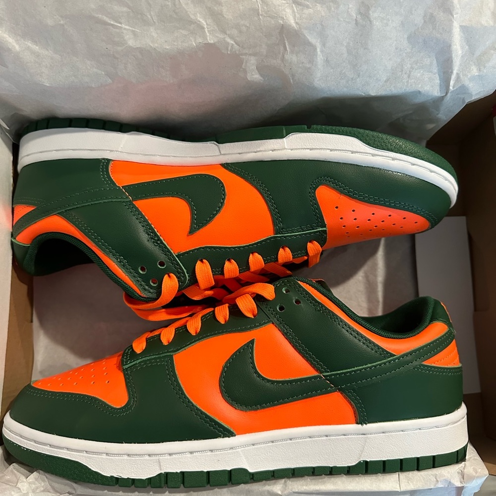 BRAND NEW DUNKS